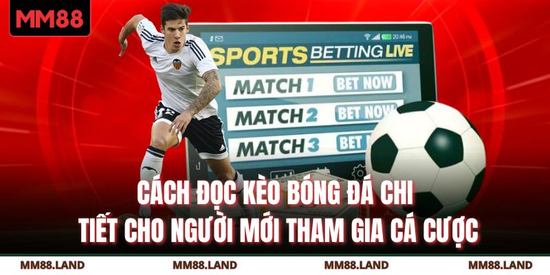 Cách Đọc Kèo Bóng Đá
