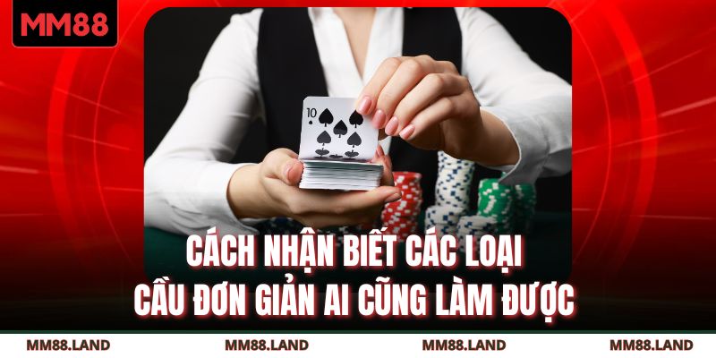 Cách nhận biết các loại cầu đơn giản ai cũng làm được 