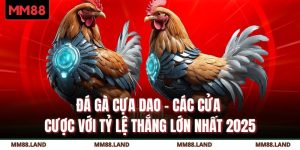 Đá Gà Cựa Dao