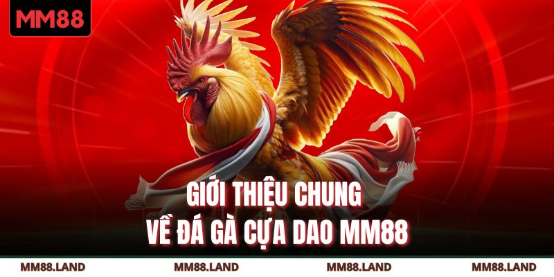 Giới thiệu chung về đá gà cựa dao MM88