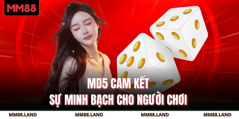 MD5 cam kết sự minh bạch cho người chơi 