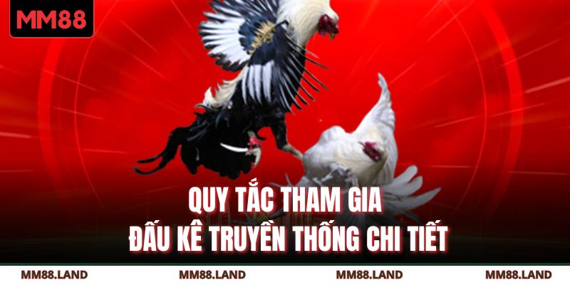 Quy tắc tham gia đấu kê truyền thống chi tiết